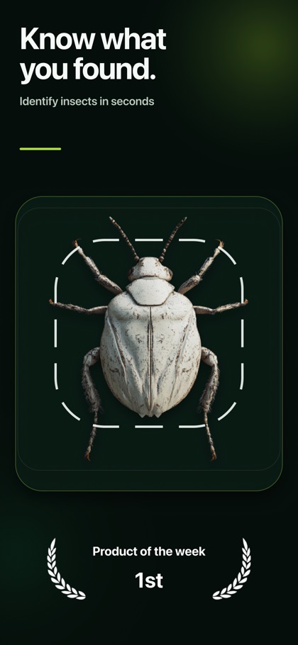 Insect Bug Identifier: BugScan screenshot 1
