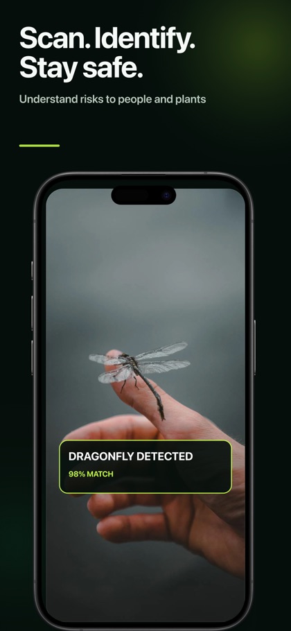 Insect Bug Identifier: BugScan screenshot 2
