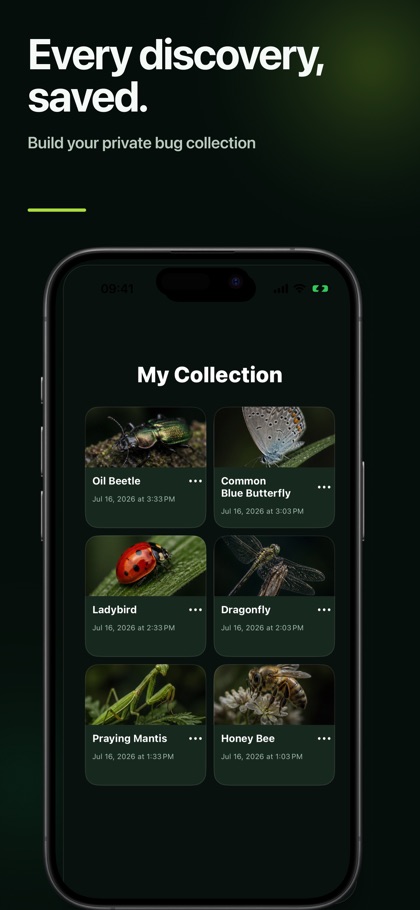 Insect Bug Identifier: BugScan screenshot 3