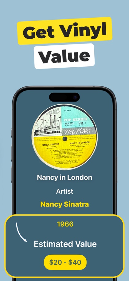 Vinyl Record Identifier screenshot 2
