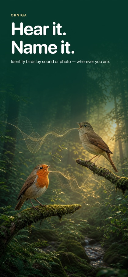 Bird Sound Identifier: Orniqa screenshot 1