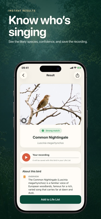 Bird Sound Identifier: Orniqa screenshot 2
