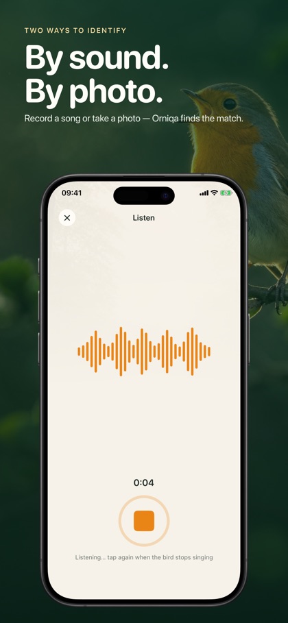 Bird Sound Identifier: Orniqa screenshot 3